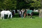 The French team grazing after their long journey