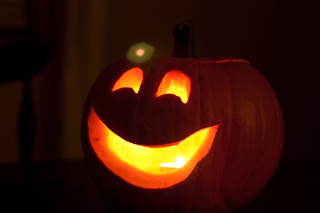 [20121027-IMG_09314.jpg]