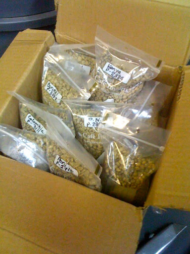 Oslo gets shipments of bean samples from all over the world; then they roast, grind, and brew small tasting batches to help decide which ones they should buy in bulk and stock at the coffee shop. Oslo gets shipments of bean samples from all over the world; then they roast, grind, and brew small tasting batches to help decide which ones they should buy in bulk and stock at the coffee shop.