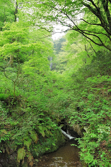 不動滝遊歩道