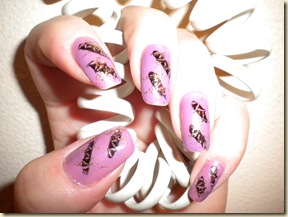 DSCN0684