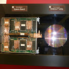 P1000249.JPG