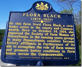 Flora Black Marker in Somerset County, PA