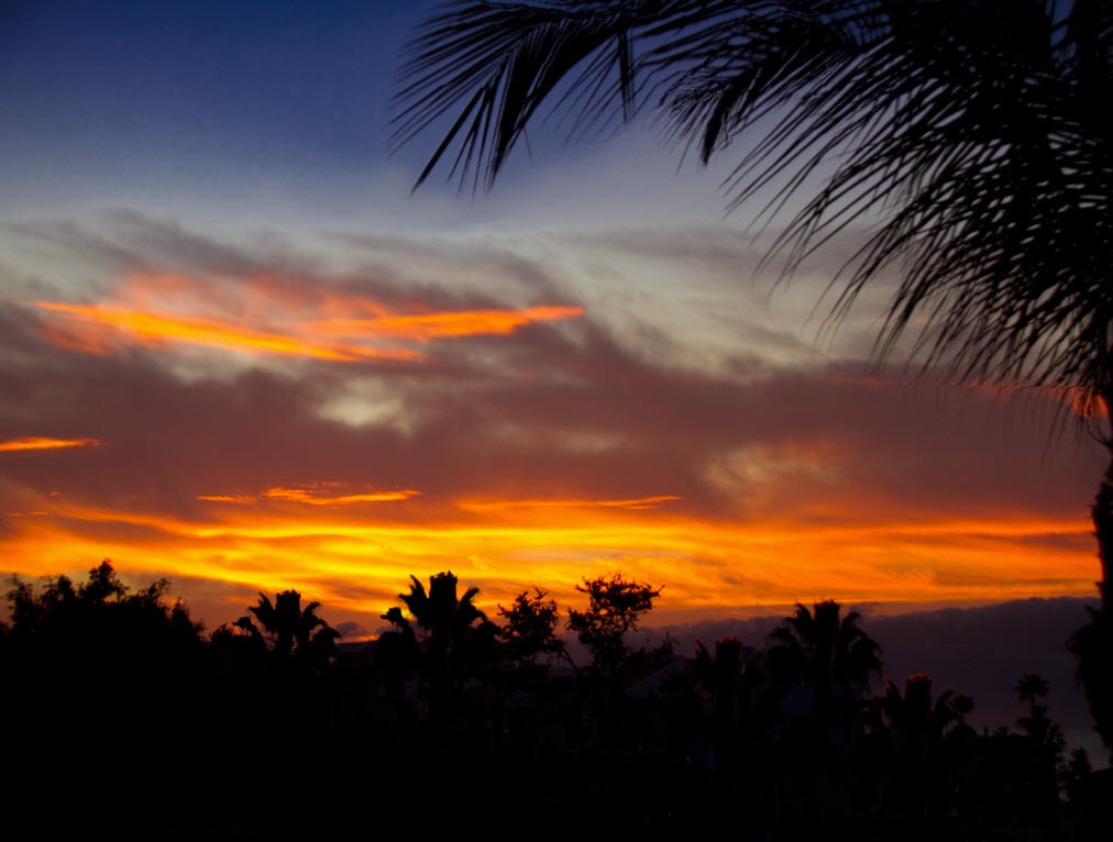 [Good-Morning-Sunshine5.jpg]