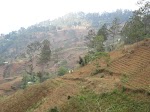 IMG_0817.JPG