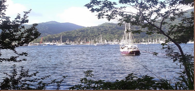 DSCF6540 DSCF6540