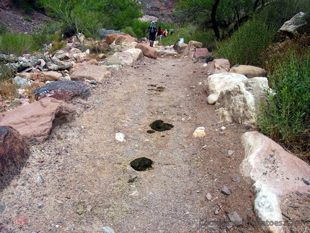 [GrandCanyon-7%255B3%255D.jpg]