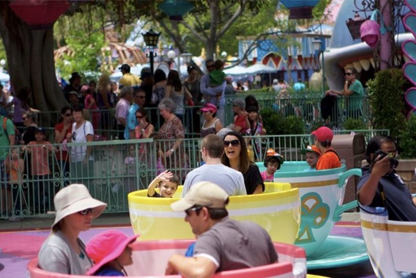 teacups