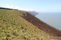 IMG_6017.JPG Photo