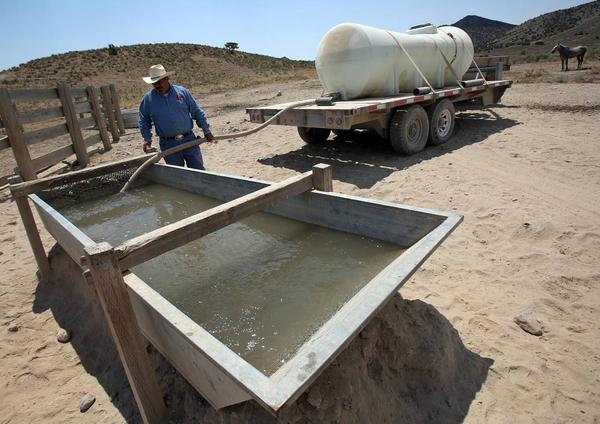 Kevin Lloyd, West Desert wild horse specialist with the Bureau of Land Management, brings 1,000 gallons of water to troughs in the Cedar Mountain range as a wild horse watches during the drought on Thursday, 18 July 2013. The BLM brings 4,000-5,000 gallons of water to the troughs each week. In the desolate expanses of Skull Valley in Tooele County, the Cedar Mountain herd of wild horses is enduring a second straight year of drought. The springs and seeps that normally support the herds aren't enough. Photo: Kristin Murphy / Deseret News