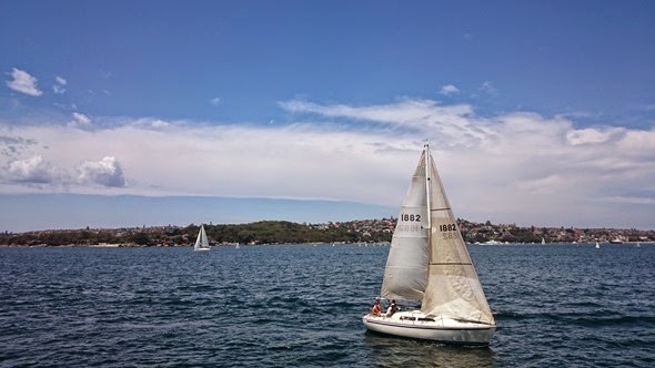 DSC_0654 DSC_0654