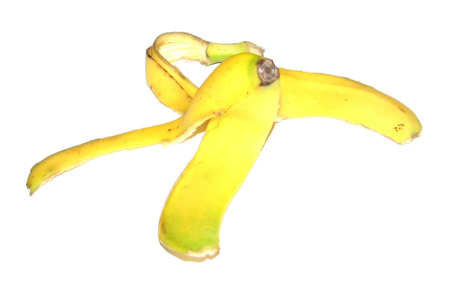 [banana-peel-500x3153.png]