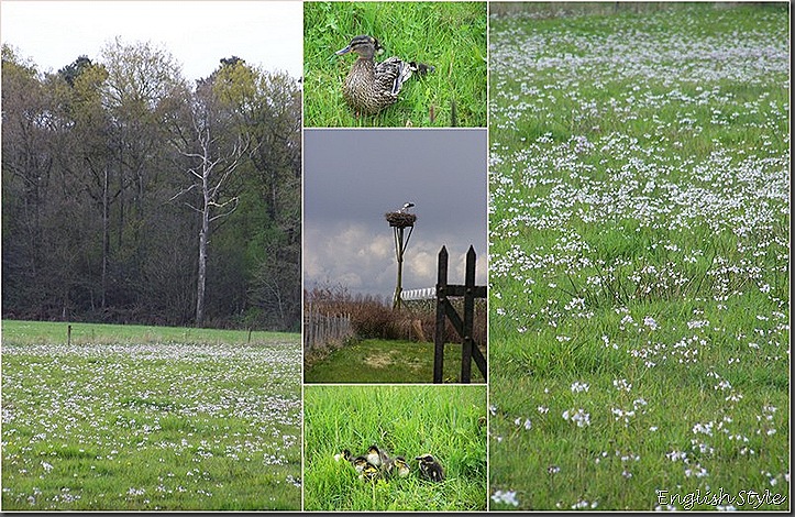 Blogfoto's 148