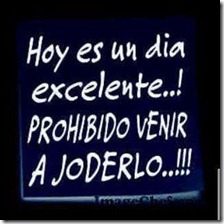 humor compartir (11)
