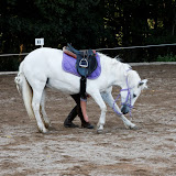 6Y1I2946_DxO_raw.jpg