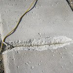 7 0ct.2010 148.jpg