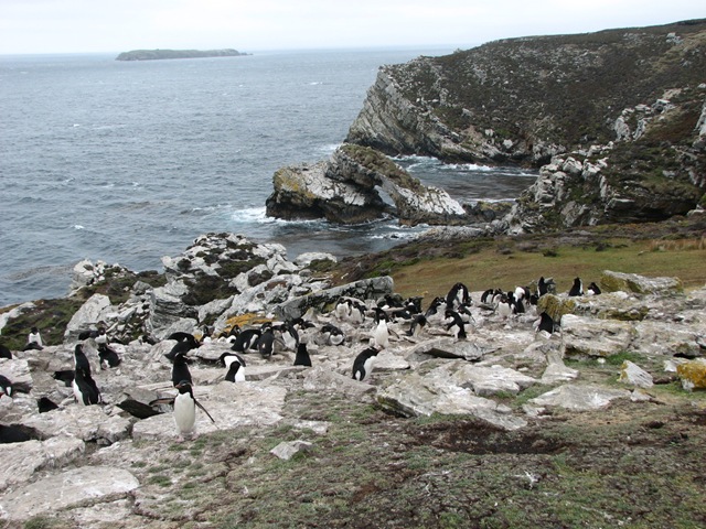 [IMG_2442%255B3%255D.jpg]