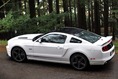 2013-Ford-Mustang-4