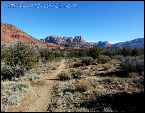 Chinle Trail Zion 015