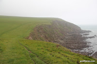 IMG_9298.JPG Photo
