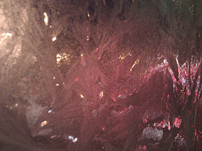 IMG_20120126_172959.jpg
