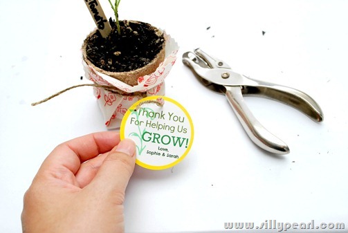 SeedlingTeacherGift6