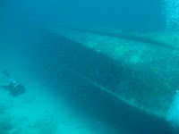 IMG_0911.JPG