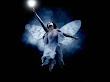 Fairy And A Star