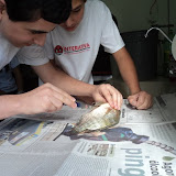 DSC06405.JPG