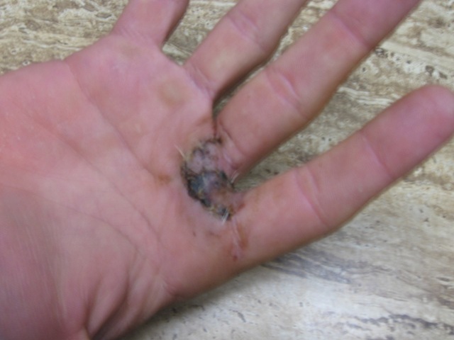 [hand1%255B1%255D.jpg]