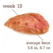 [week%252018.png]