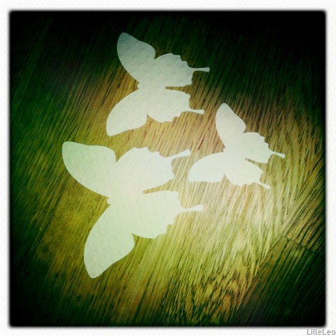 [IMG_0500%255B4%255D.jpg]