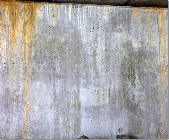 Can you see the horse? Can you see the horse?