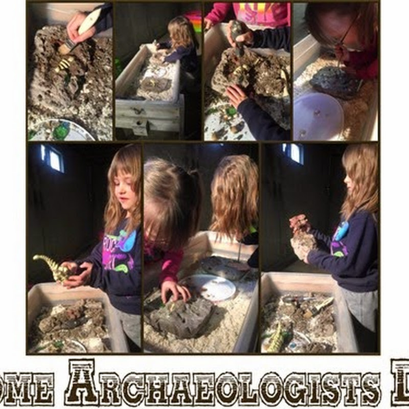 NSPA  - Dd Dinosaur Day 3  -  Home Archaeologists Dig