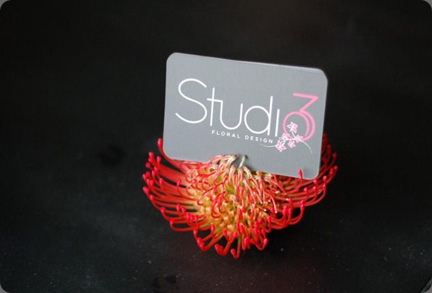 card holder studio 3 floral design blogspot card holder studio 3 floral design blogspot