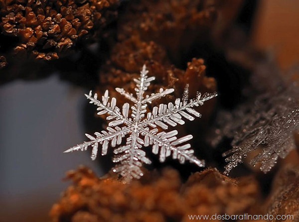 flocos-de-neve-macro-snowflakes-macro-photography-andrew-osokin-desbaratinando (8) flocos-de-neve-macro-snowflakes-macro-photography-andrew-osokin-desbaratinando (8)