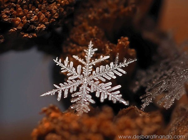 flocos-de-neve-macro-snowflakes-macro-photography-andrew-osokin-desbaratinando (8)