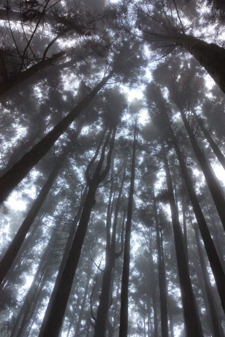 2014_1005_061115 2014_1005_061115