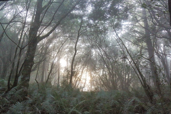 2014_1005_060908 2014_1005_060908