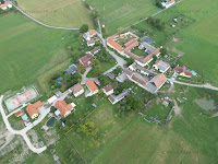 Brezi_Borsov_007.JPG