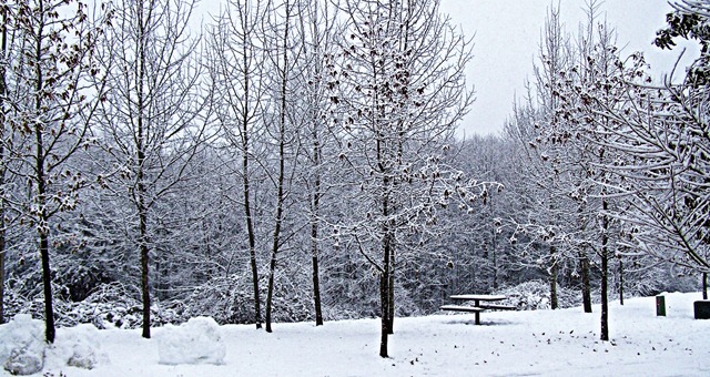 [1-17-2012%2520%25288%2529%2520FB%2520banner2%255B22%255D.jpg]
