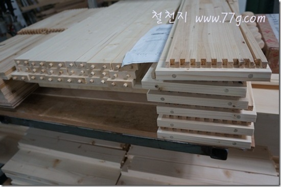철천지DSC00931-20120511-113044 철천지DSC00931-20120511-113044