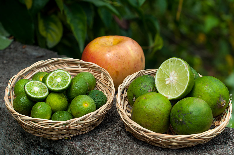Азиатские лимоны (lemon) Азиатские лимоны (lemon)