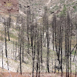 Resquicio de incendios passados - Bandelier Natl Monument- Santa Fé, AZ