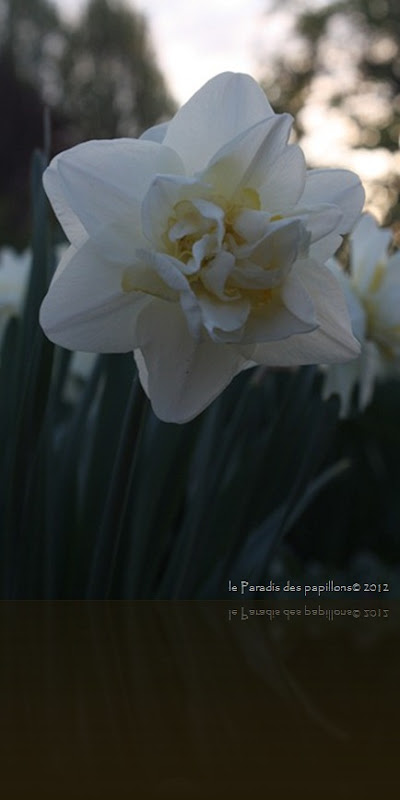 IMG_0809 IMG_0809