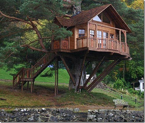tree-house-2-470-1108 tree-house-2-470-1108