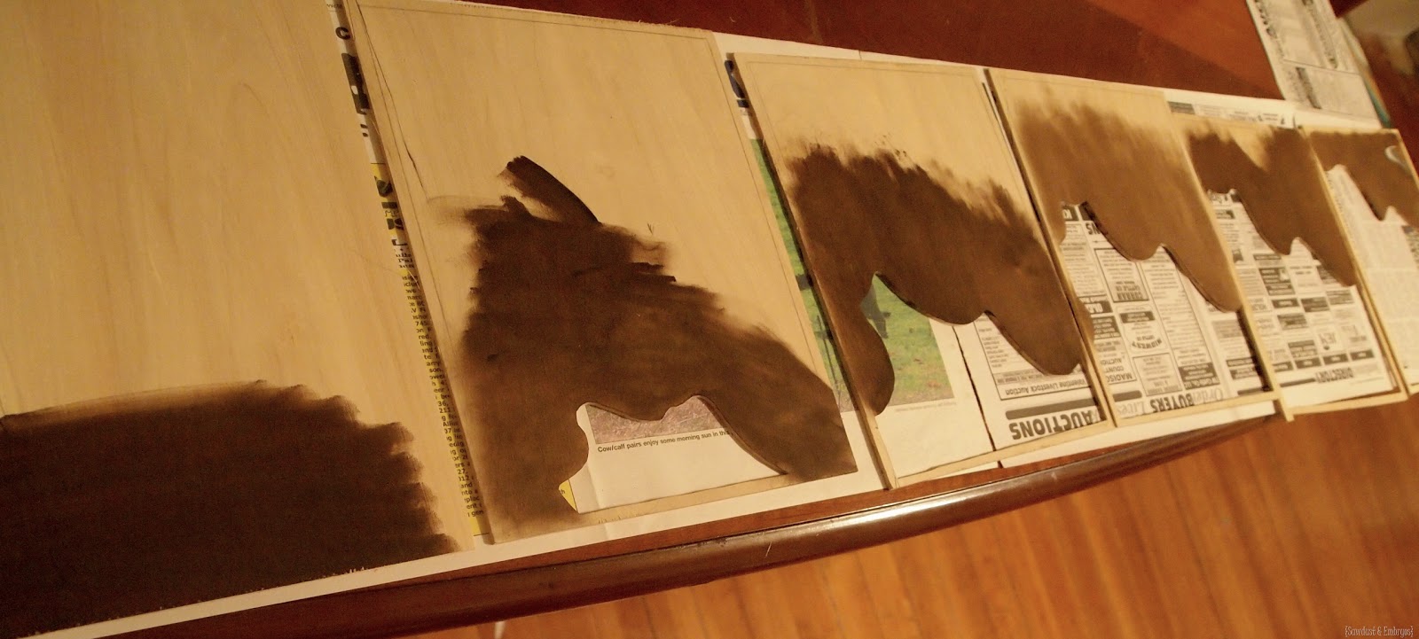 [Staining%2520Topography%2520Artwork%2520%257BSawdust%2520and%2520Embryos%257D%255B3%255D.jpg]