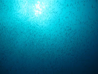 IMG_0909.JPG
