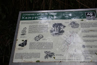 IMG_7996.JPG Photo