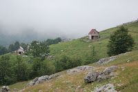 DSC_5736.JPG Photo